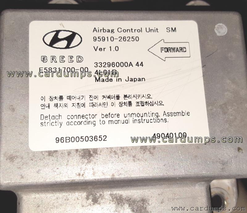 Hyundai Santa FE 2005 airbag 95160 Breed - 95910-26250