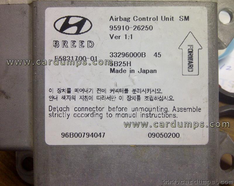 Hyundai Santa FE airbag 95160 Breed - 95910-26250